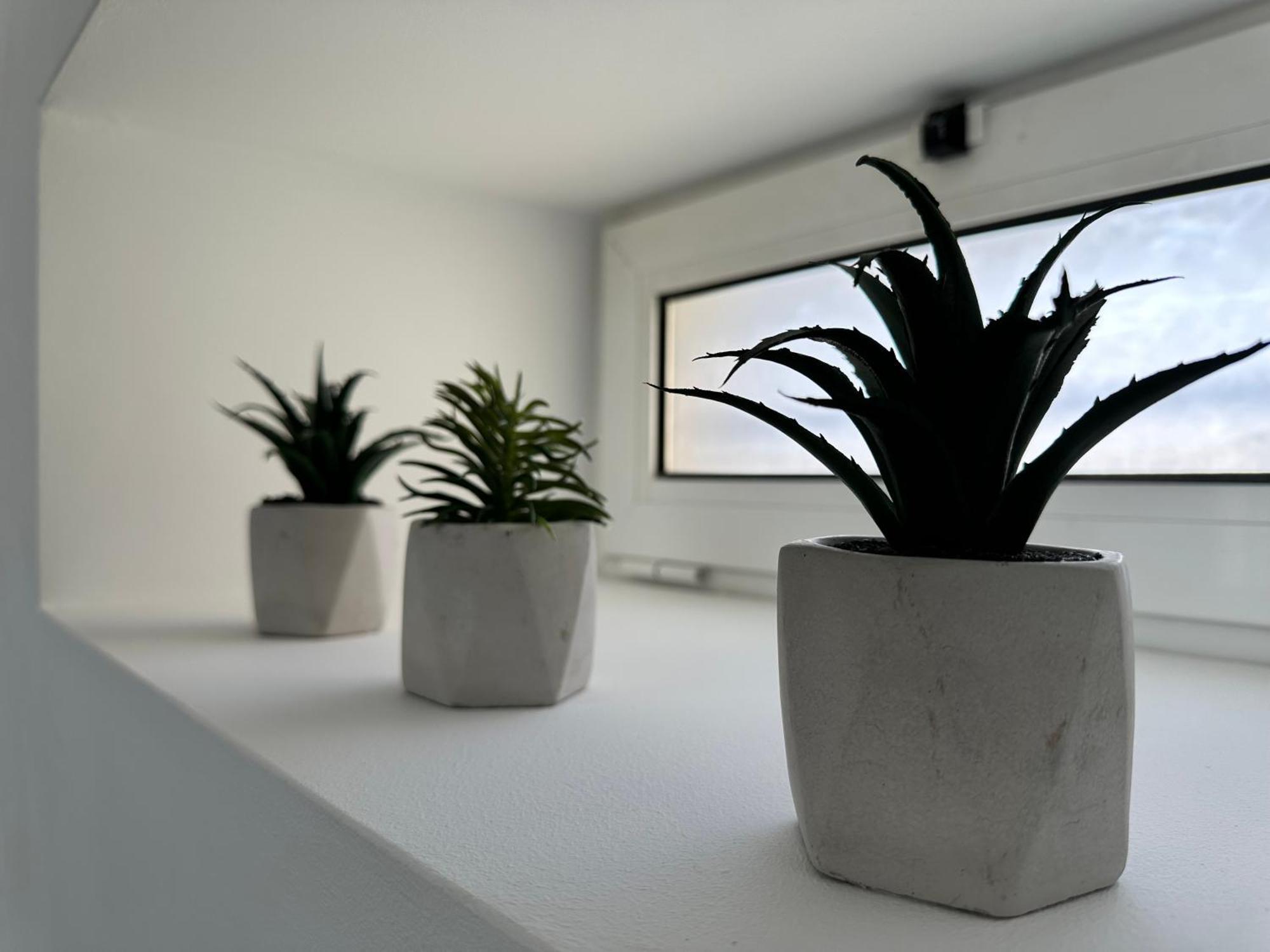 Apartmán Ferreira House Seia Exteriér fotografie